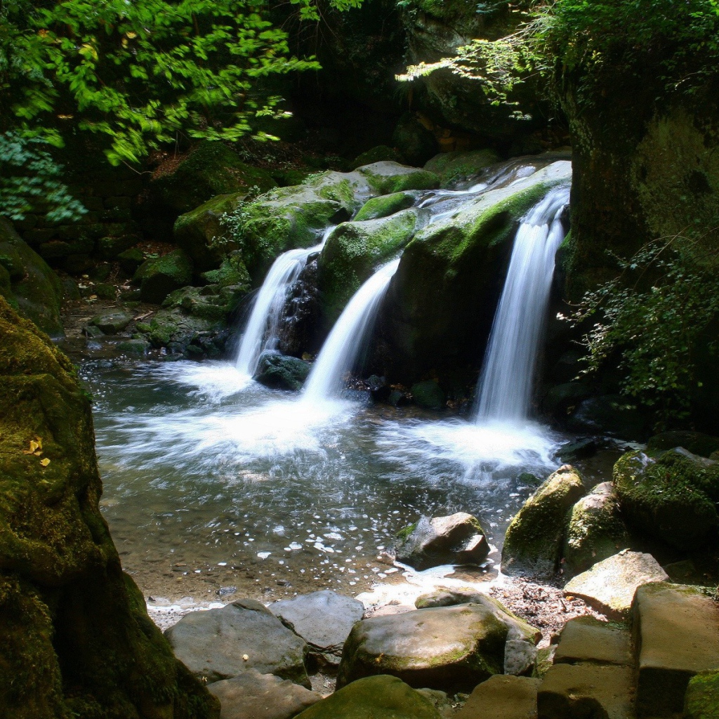 Водопад в лесу
