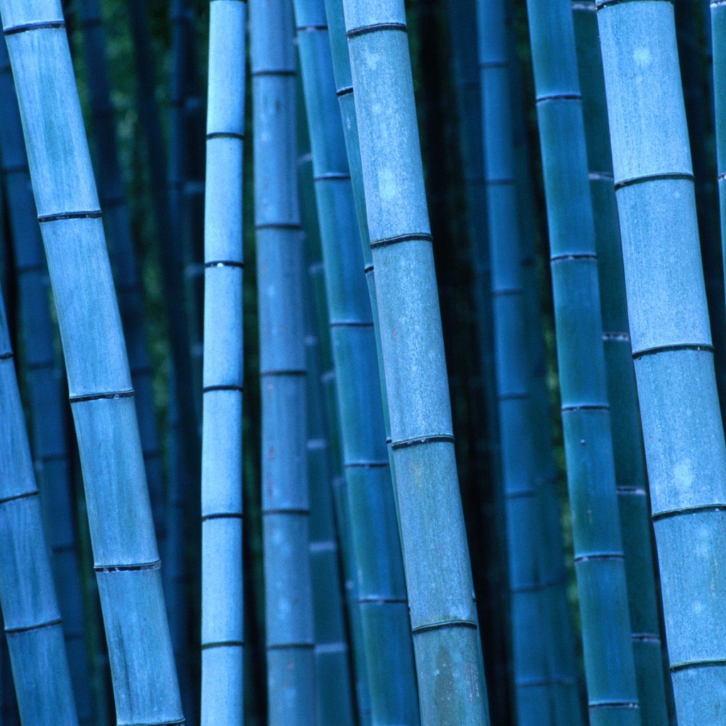 Синий бамбук