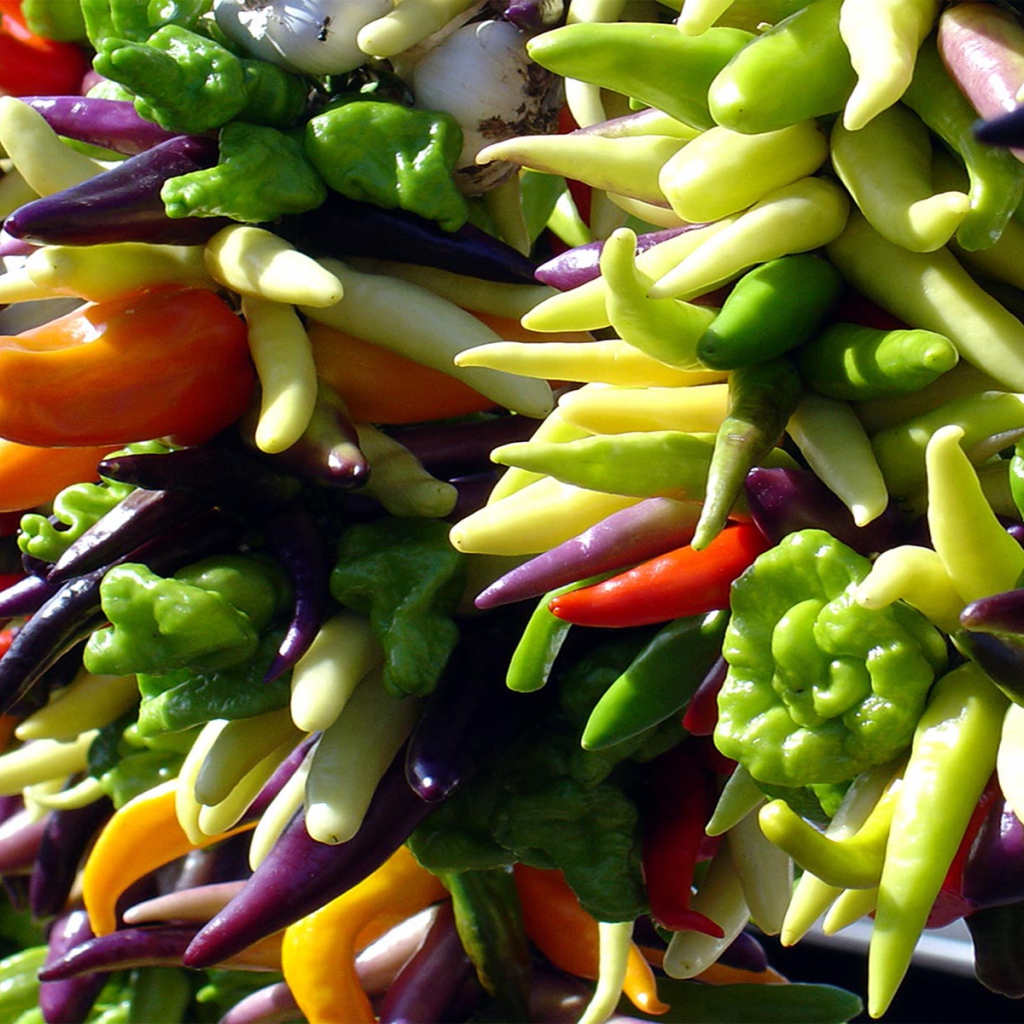 Яркие перцы