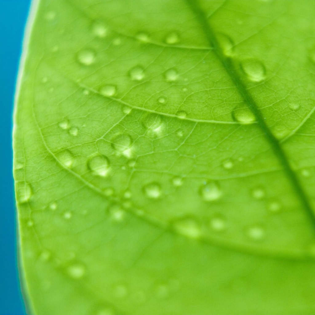 Сбор капель