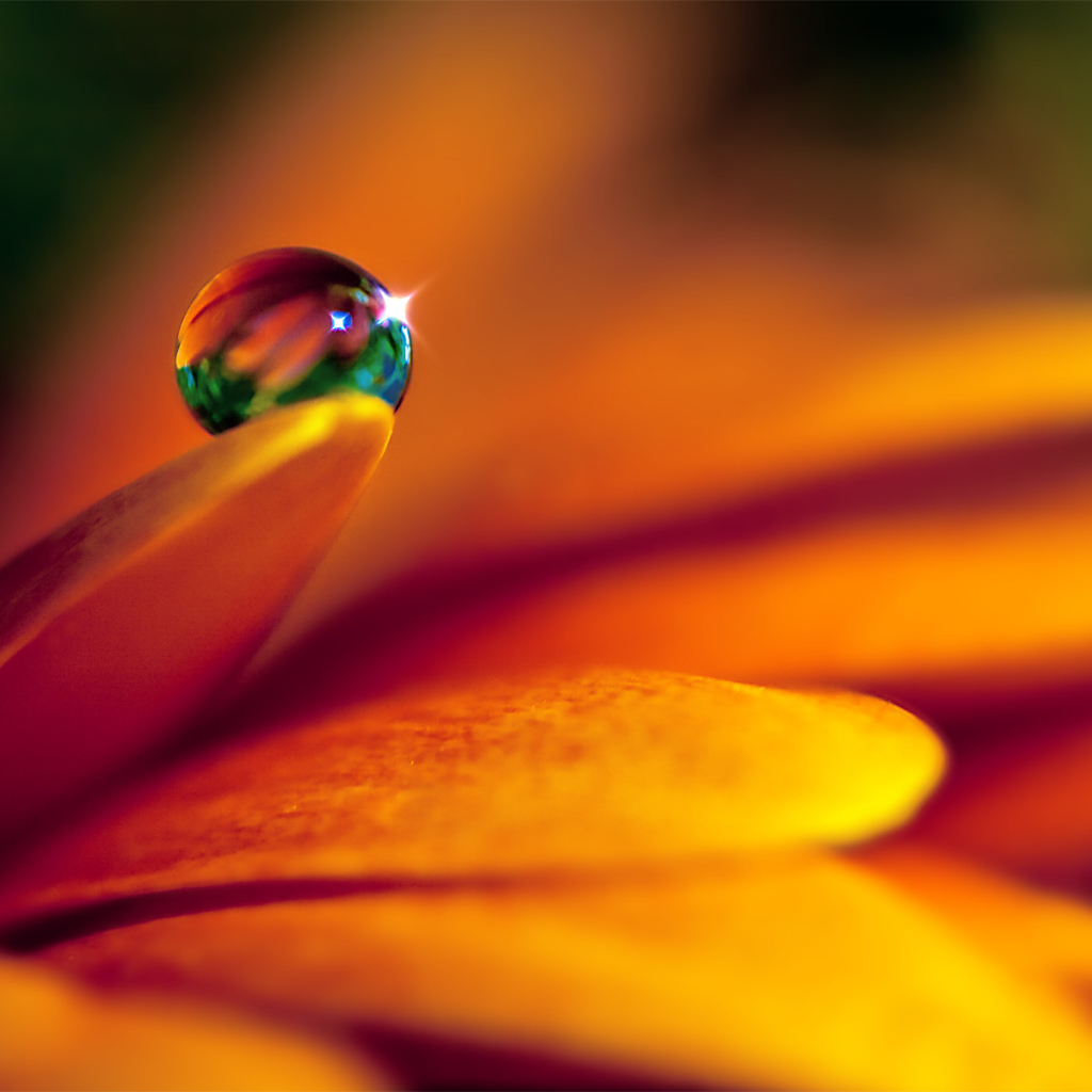 Кристальная капля