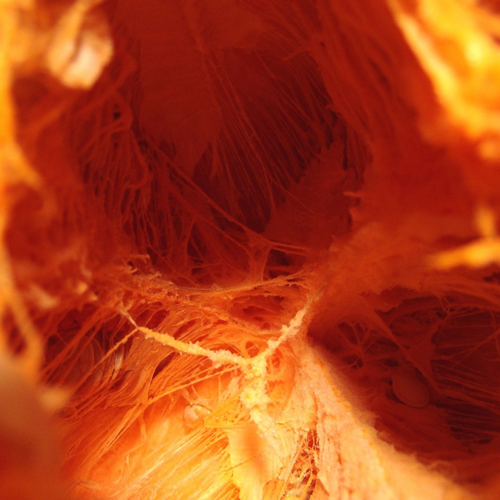 Внутренняя тыква