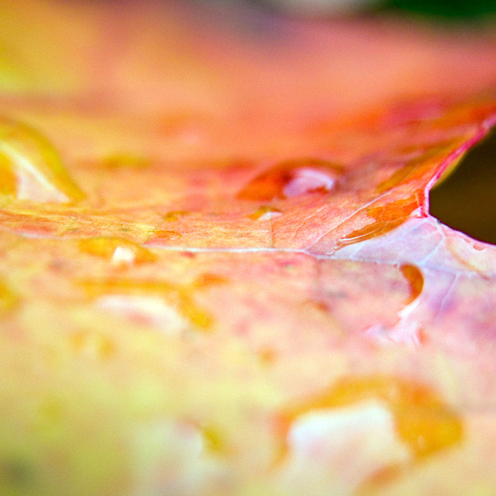 Эффекты листа