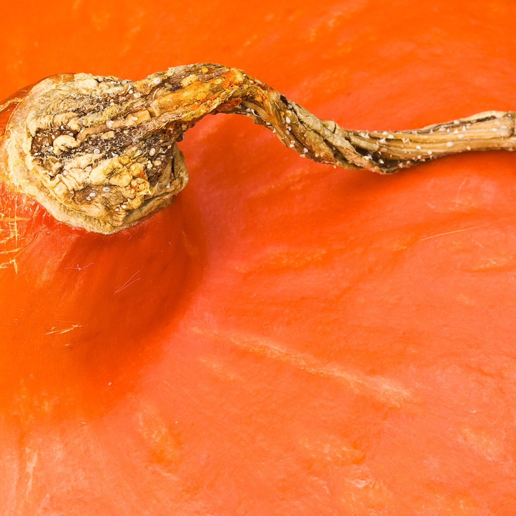 Оранжевая часть тыквы