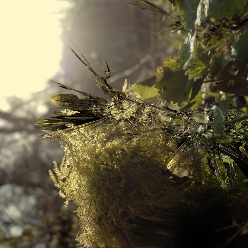 Заостренные листья