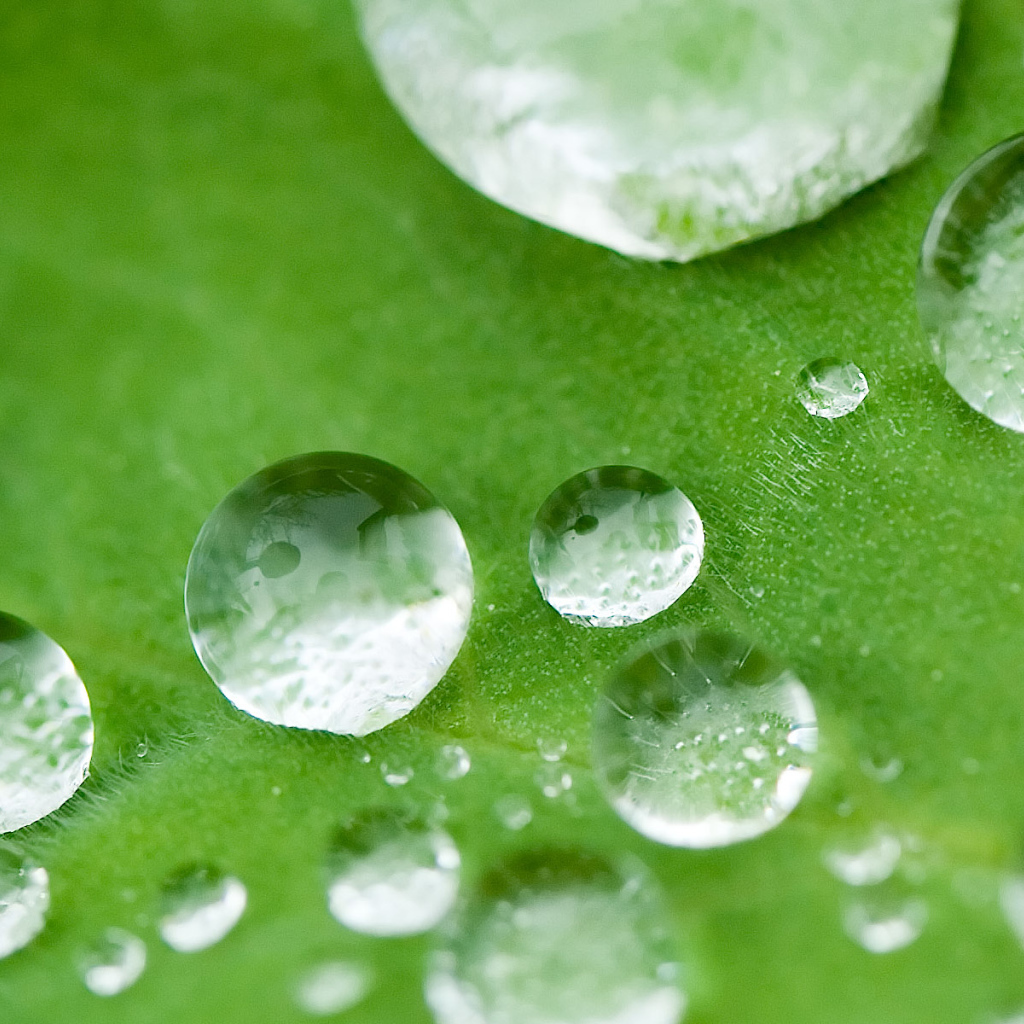 Маленькие водные капли