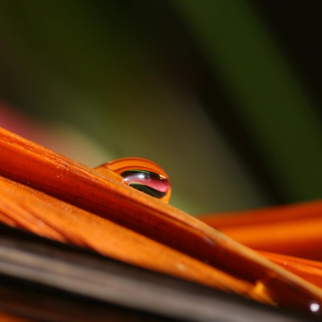 Гладкое Скольжение