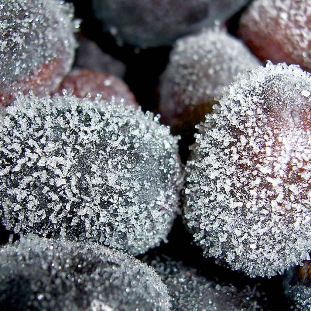 замороженный виноград