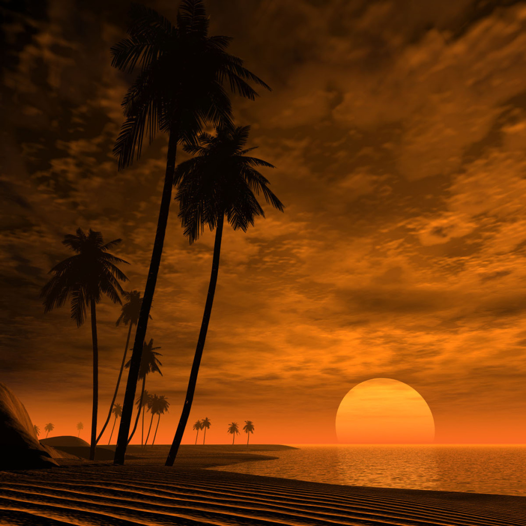 Африканский закат