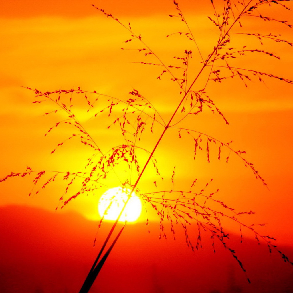 Красивый закат