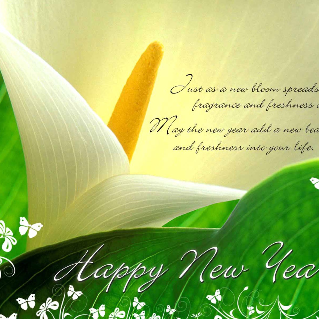 Поздравление с Новым Годом