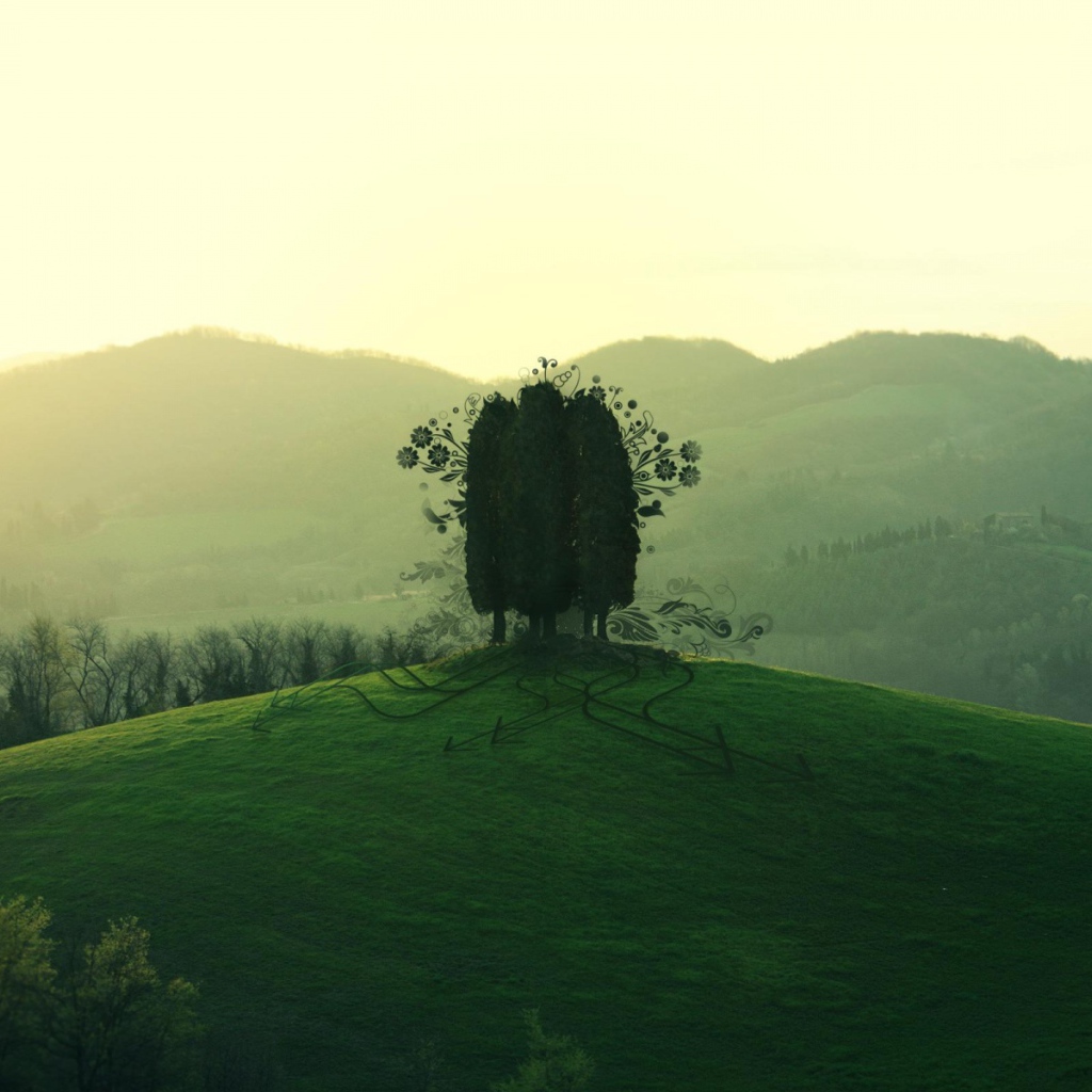 Дерево на зеленом холме