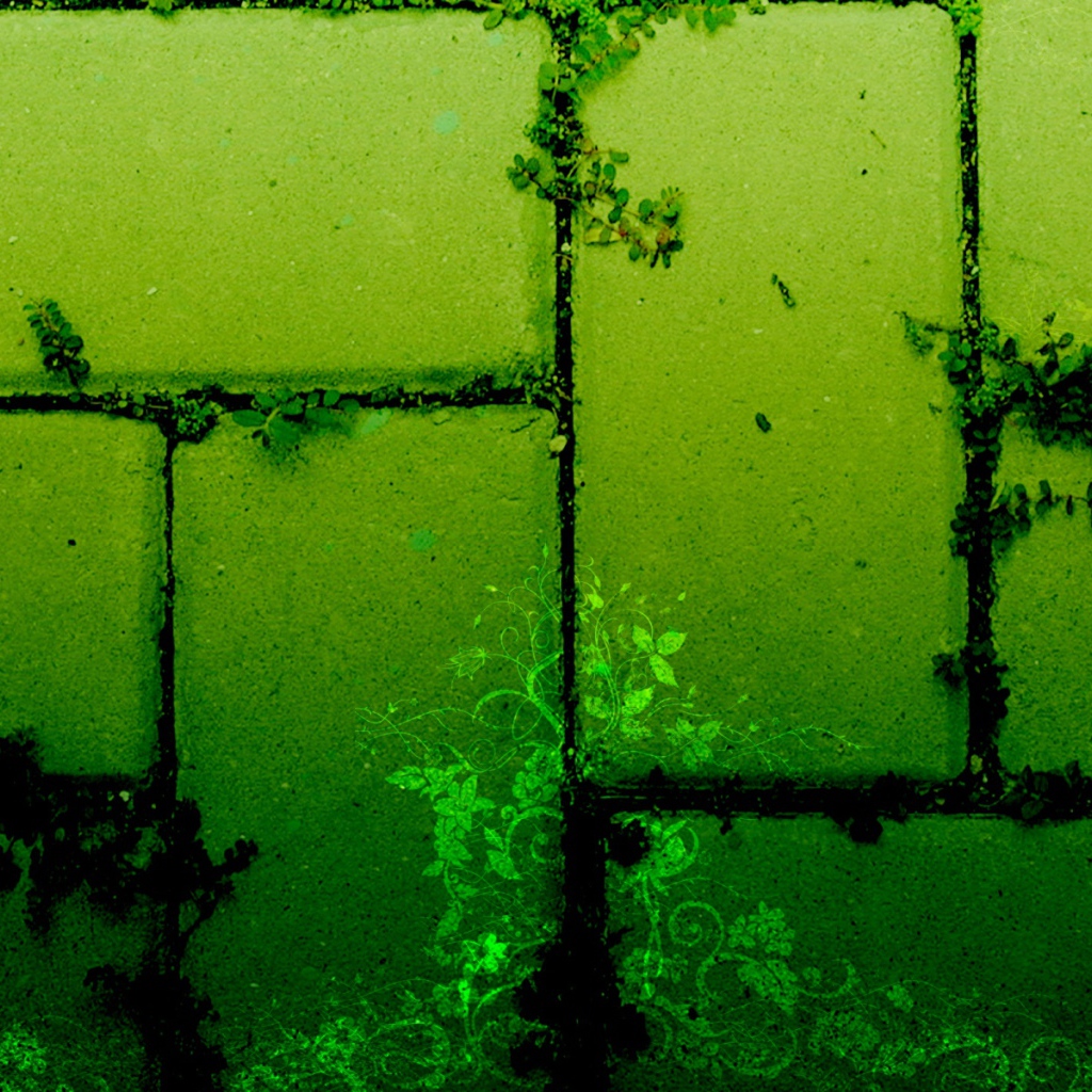 Зеленая стена