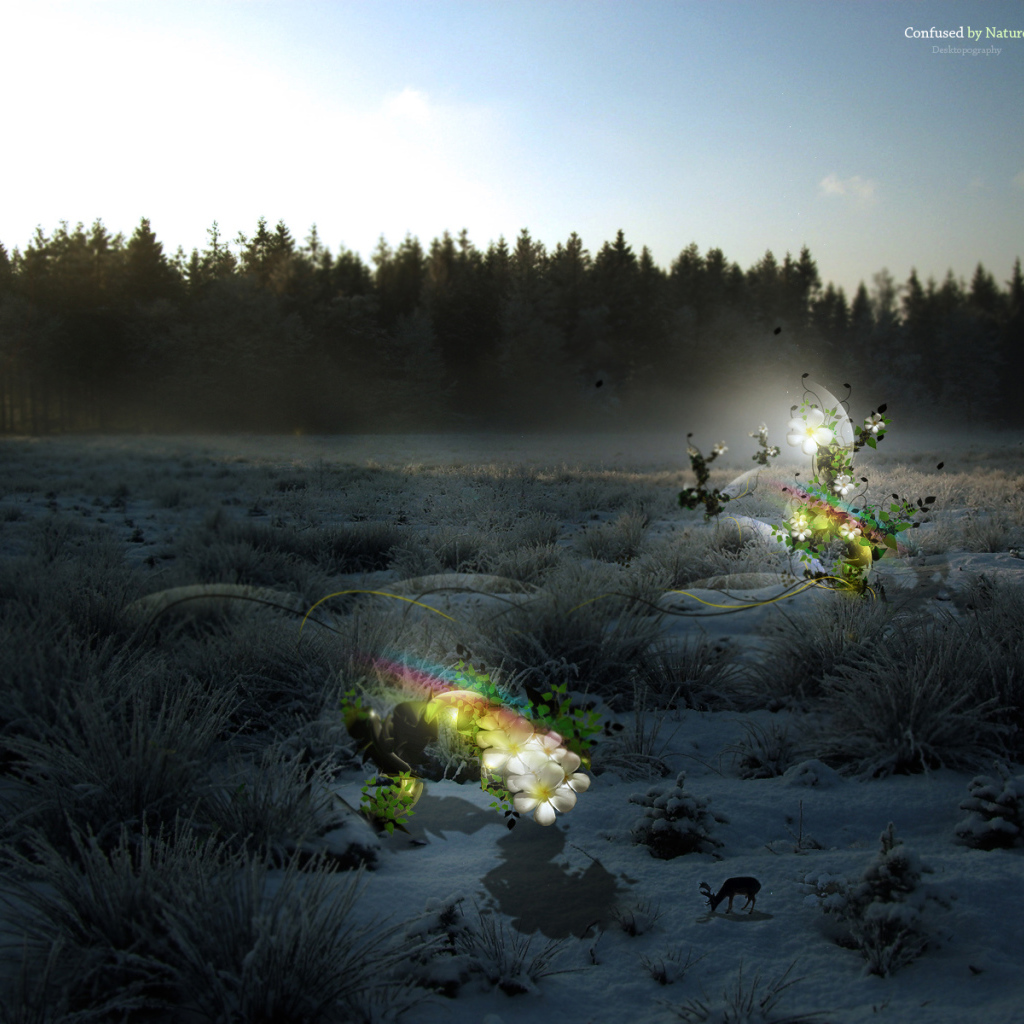 Волшебные цветы