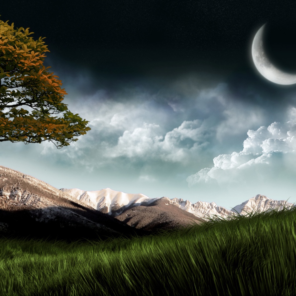 Луна над полем