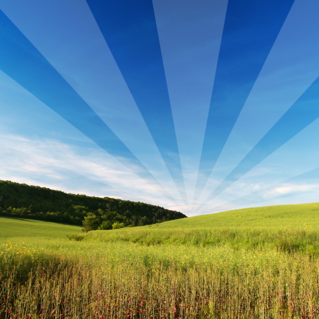 Открытый и свободный