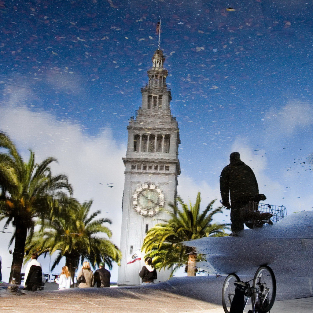 Отражение в луже