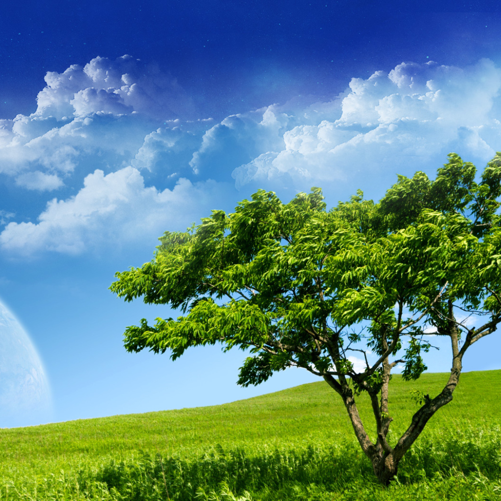 Спокойствие