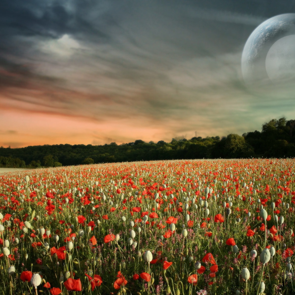 Паралельный мир