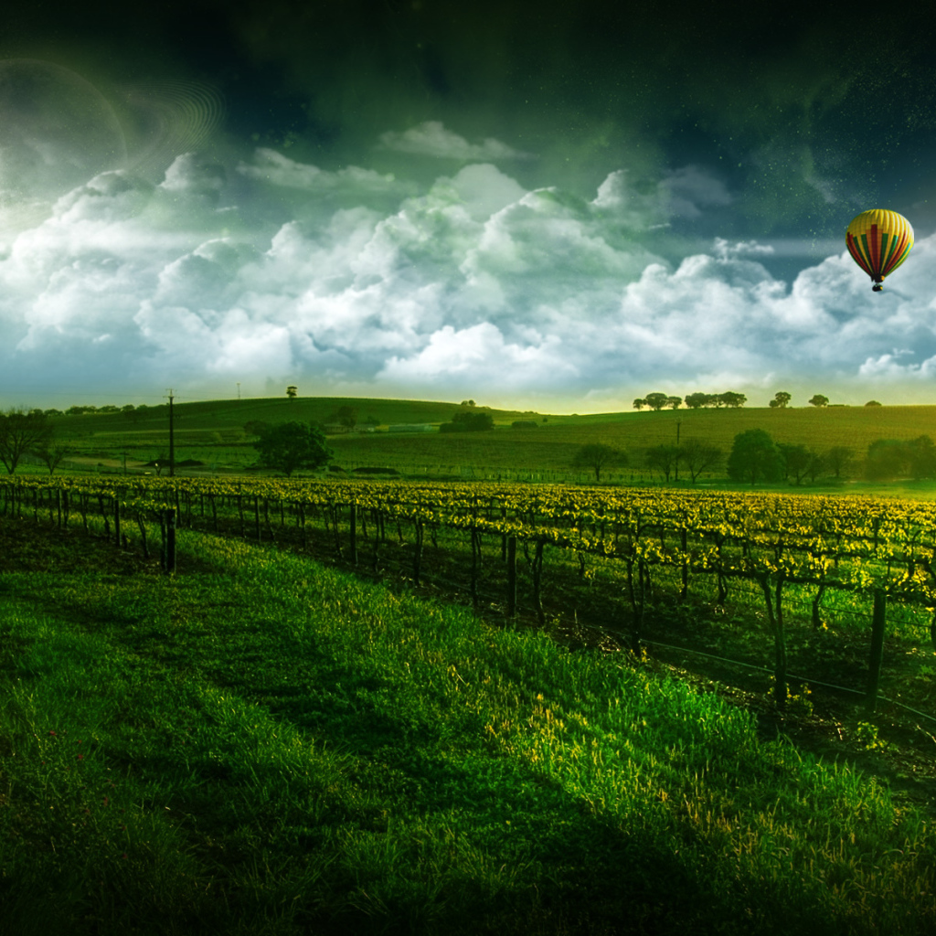 Виноградник