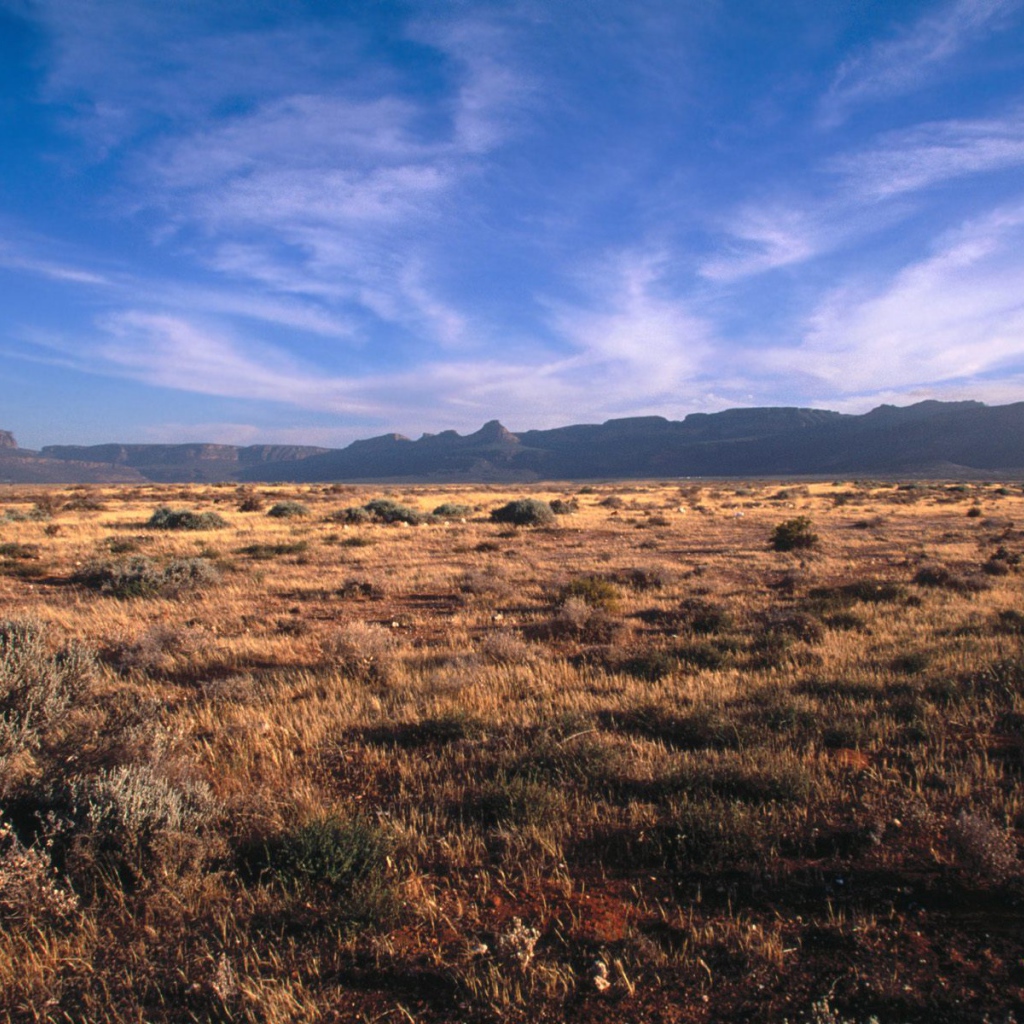 Karoo - Кару / Африка