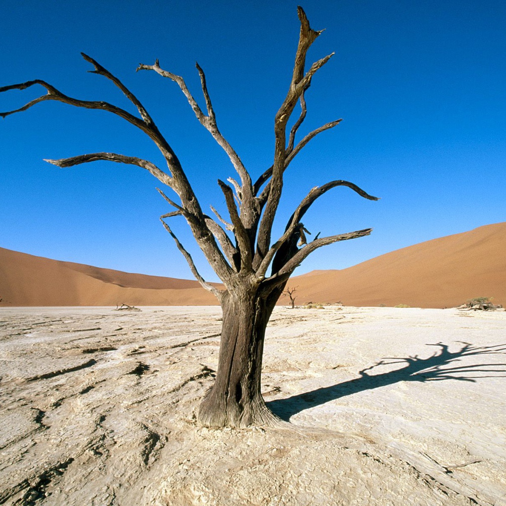 Парк Namib-Naukluft / Пустыня Намиб / Намибия / Африка