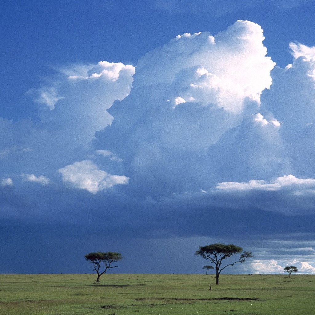 Шторм по Саванне / Masai Mara Резервация / Кения / Африка
