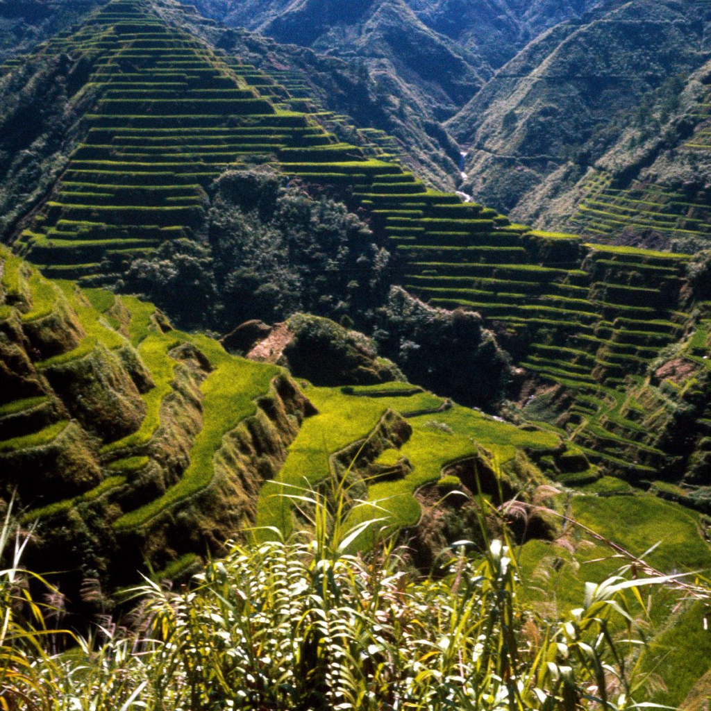 Древние Террасы Риса / Филиппины