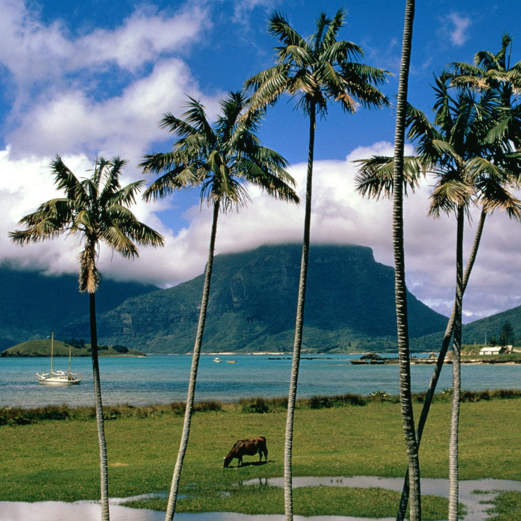 Остров Lord Howe