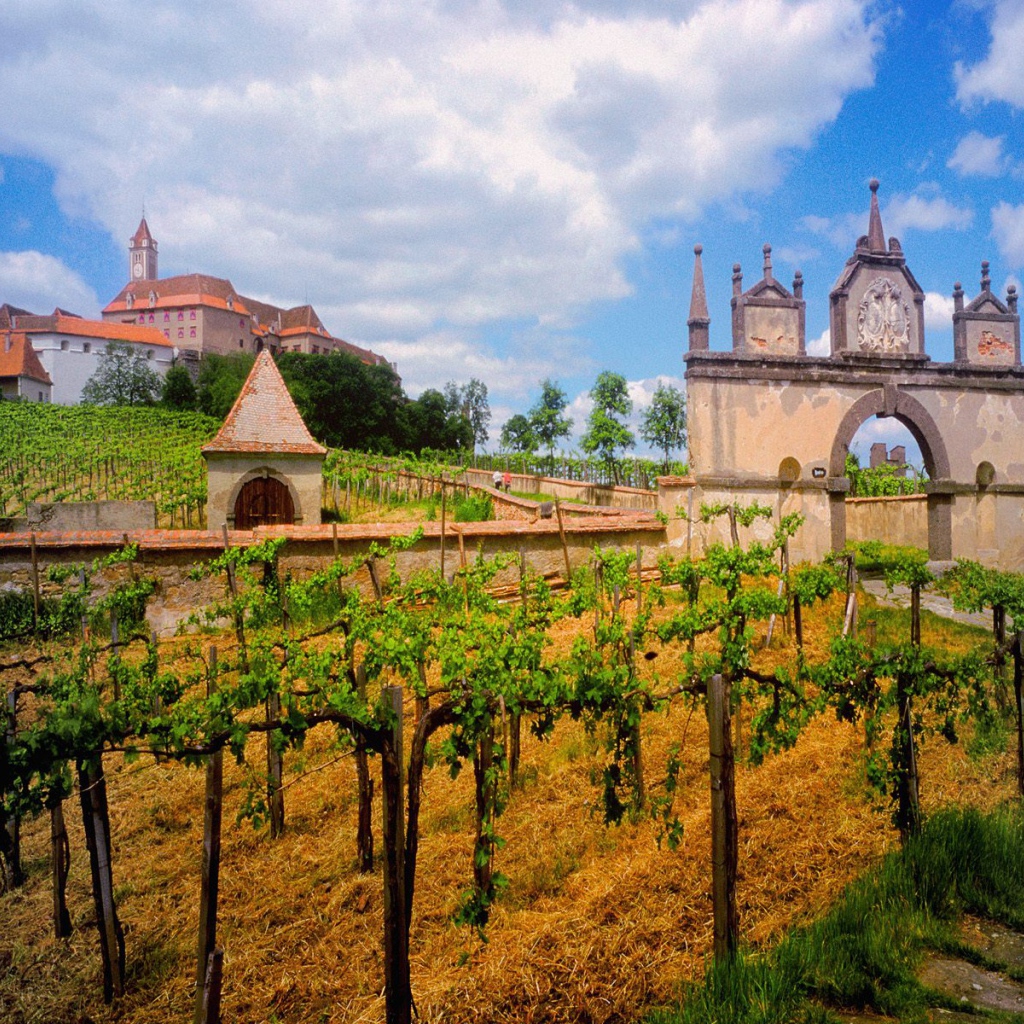 Австрийский Виноградник