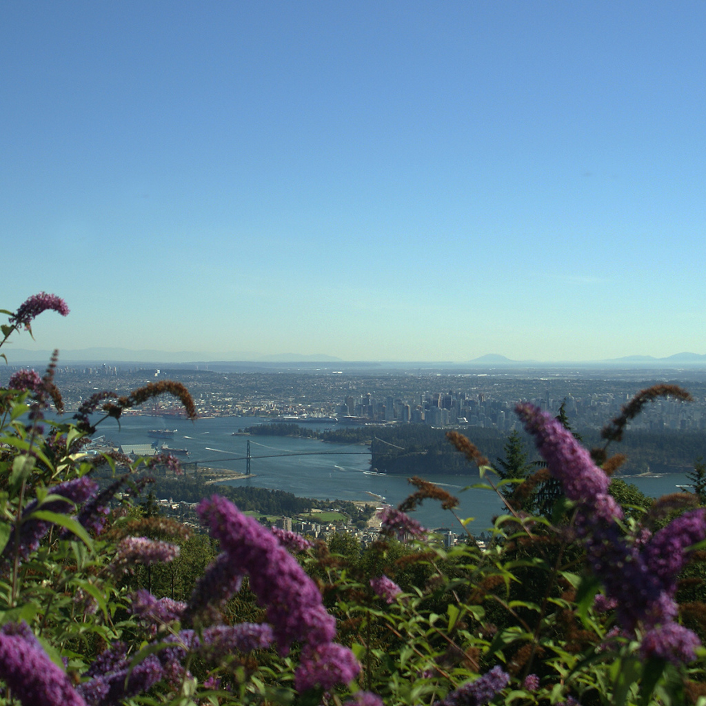 Цветочный Ванкувер