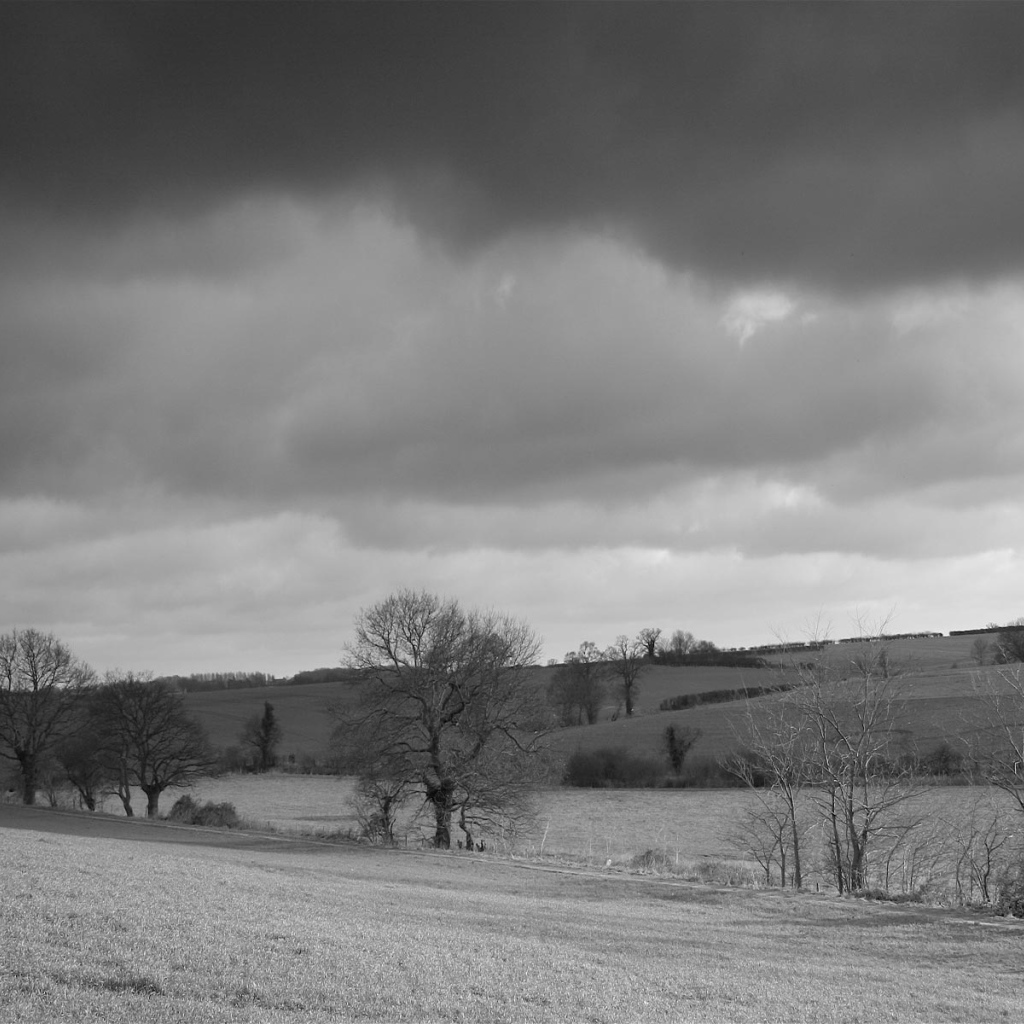 Серая страна