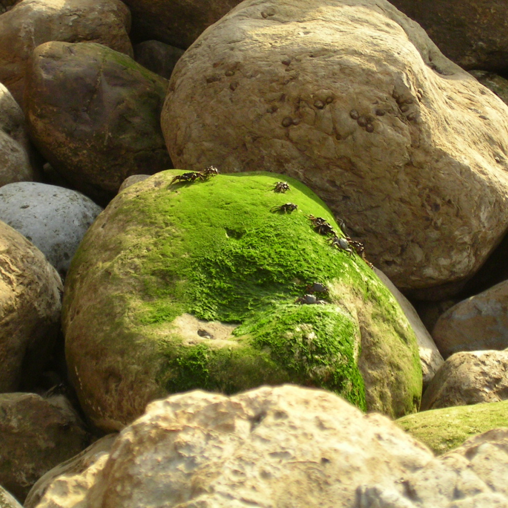 Залив Sao Martinho