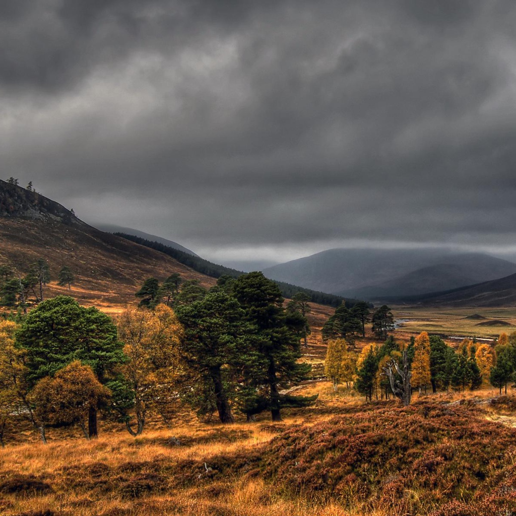 Дымчатые топазы Шотландии