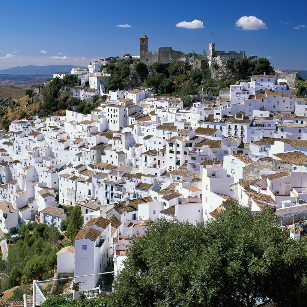 Casares