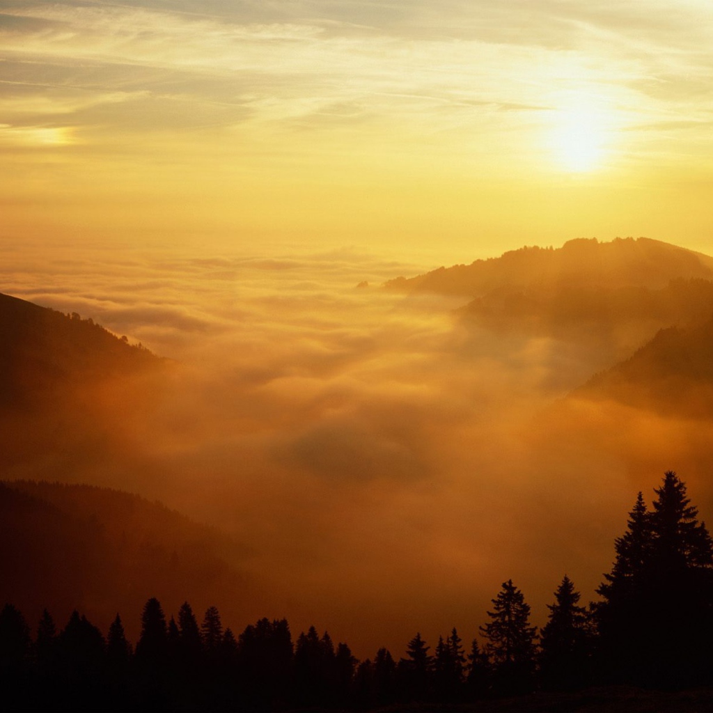 Святой Голлен, Швейцария