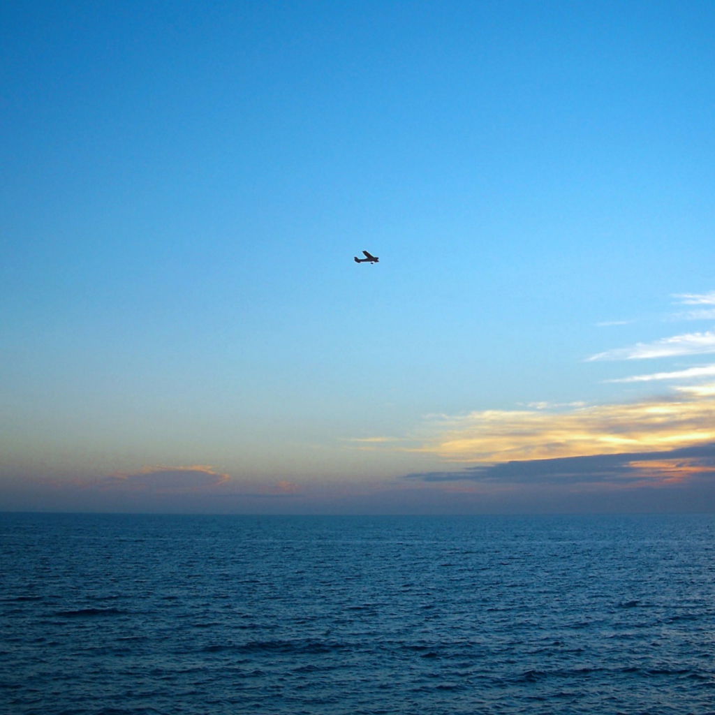 Один в небе США