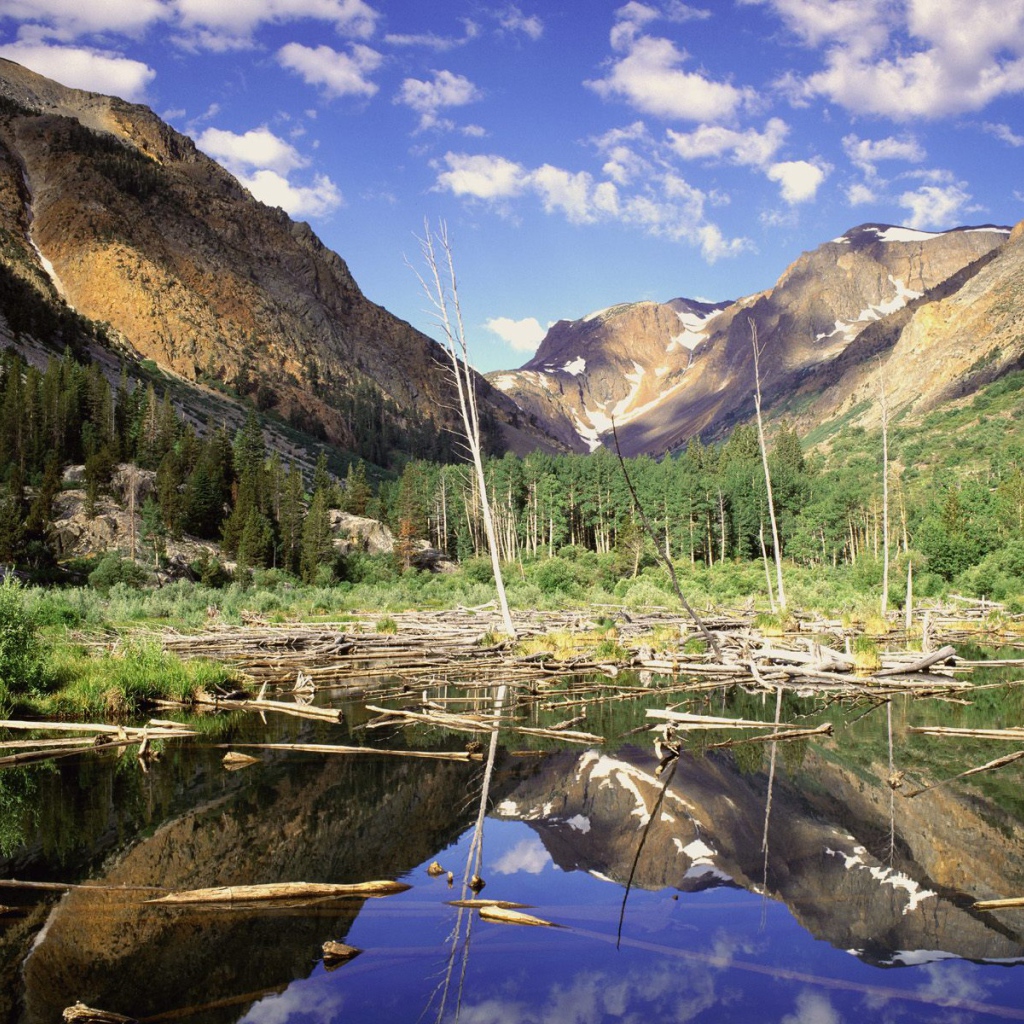 Водоем Бобра / Каньон Lundy / Сьерра-Невада / Калифорния / США