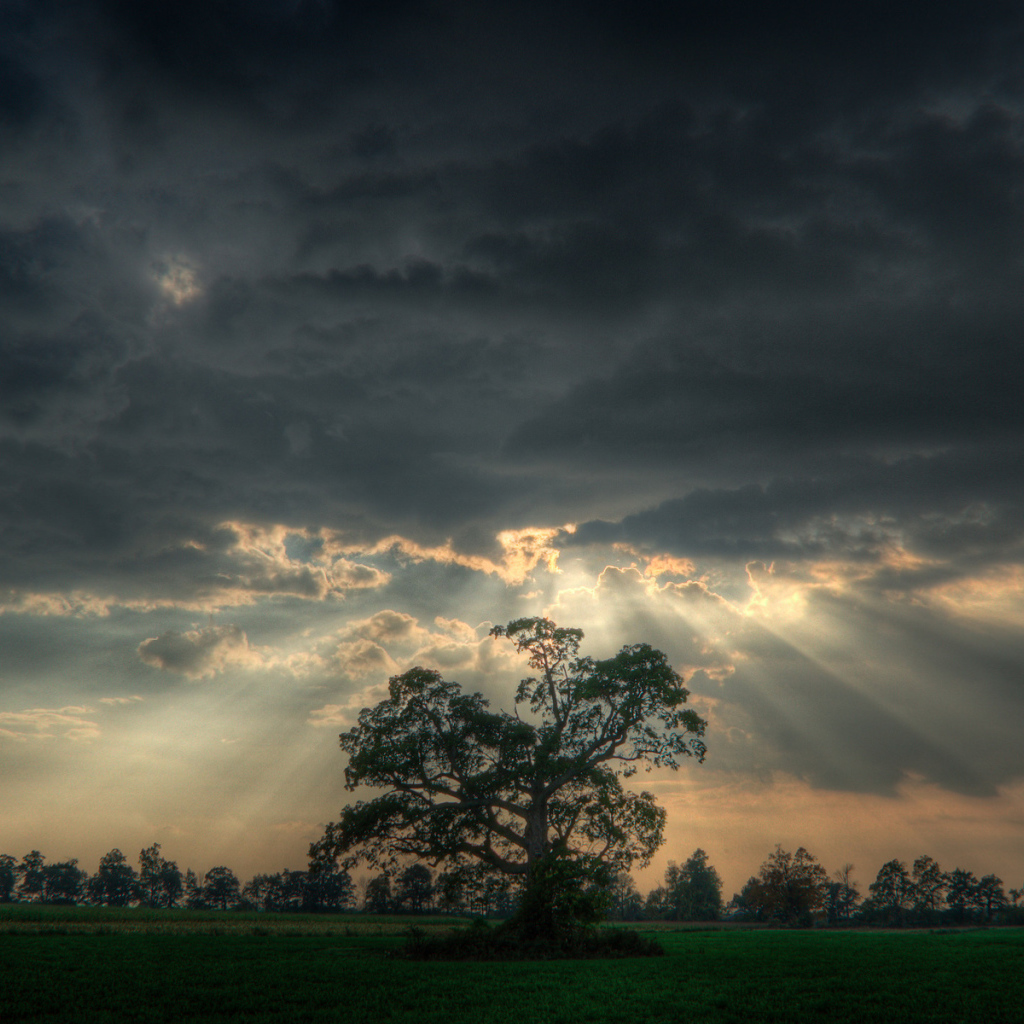 Перед штормом