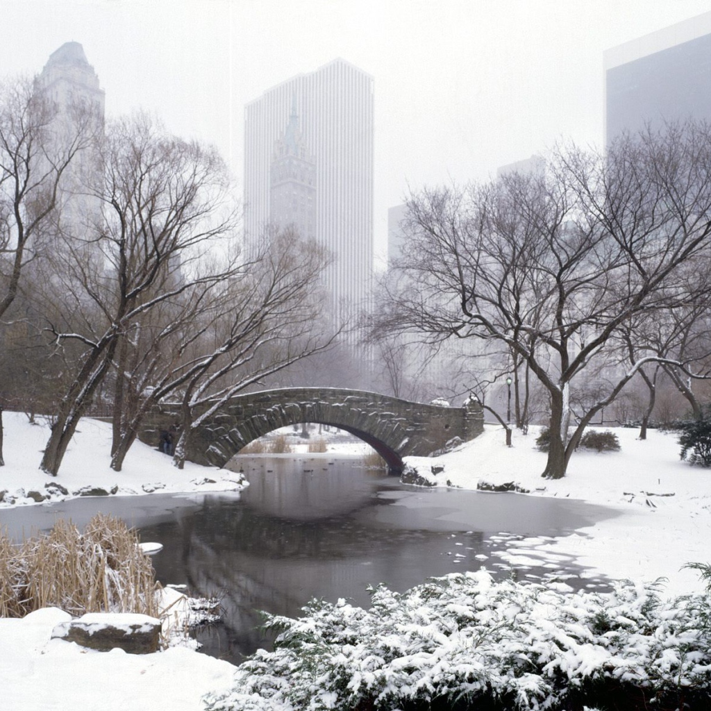 Центральный Парк НЬЮ-ЙОРК США