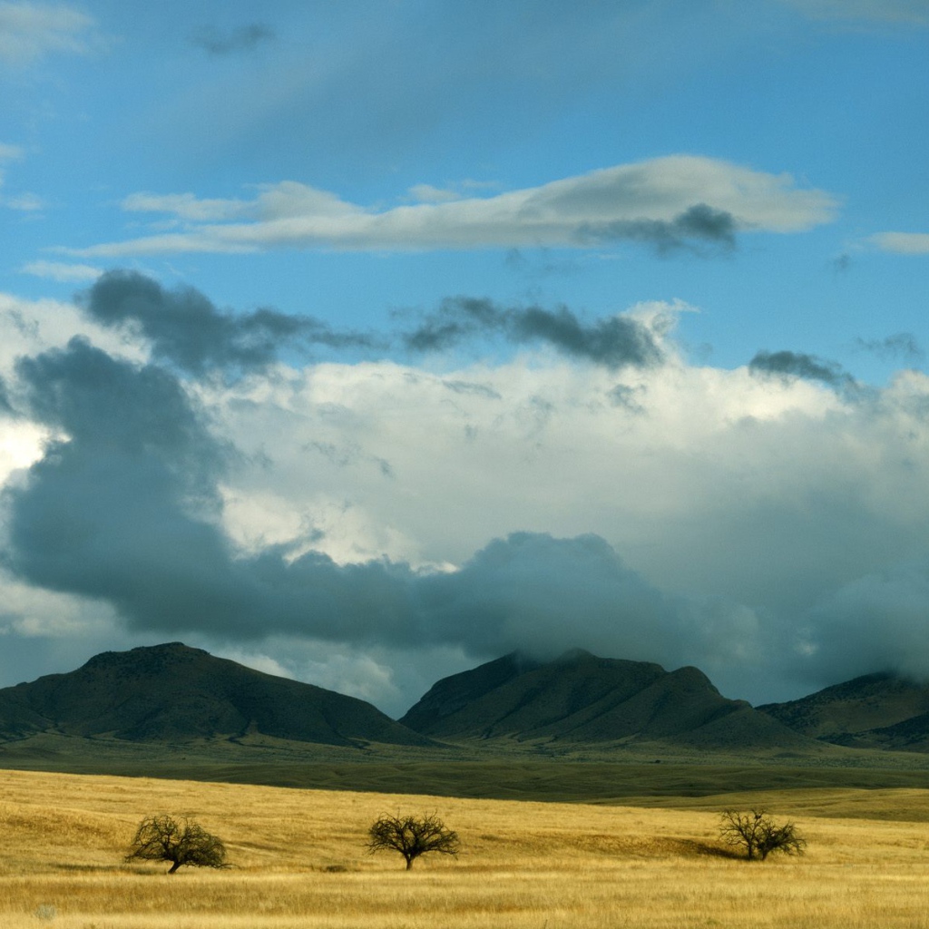 Прояснение Штормовых Облаков / Coronado Национальный Лес / Аризона / США