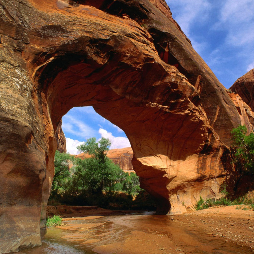 Американский волк Естественный Мост США