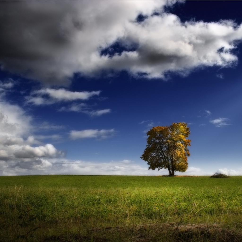 Возвышение США