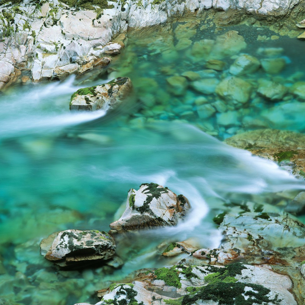 Река Лося США