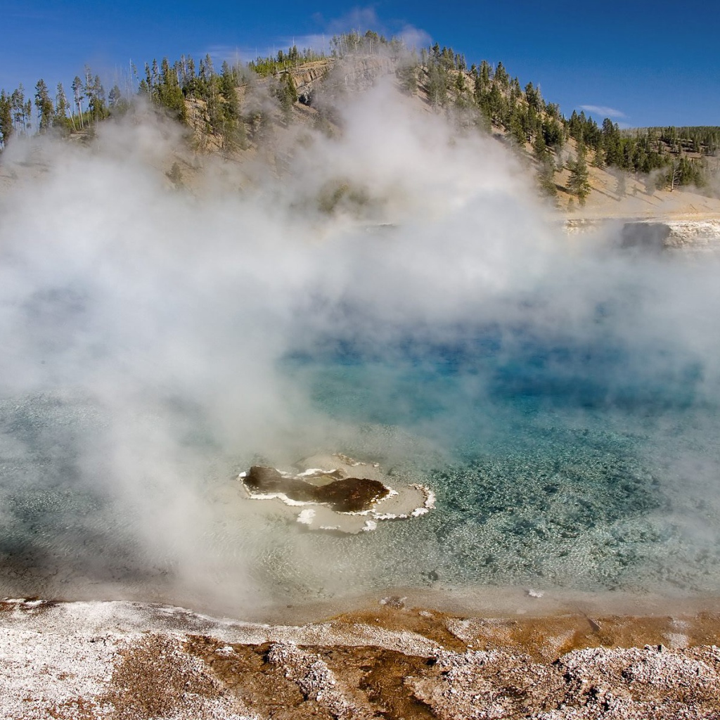Гейзер Мягкой древесной стружки США