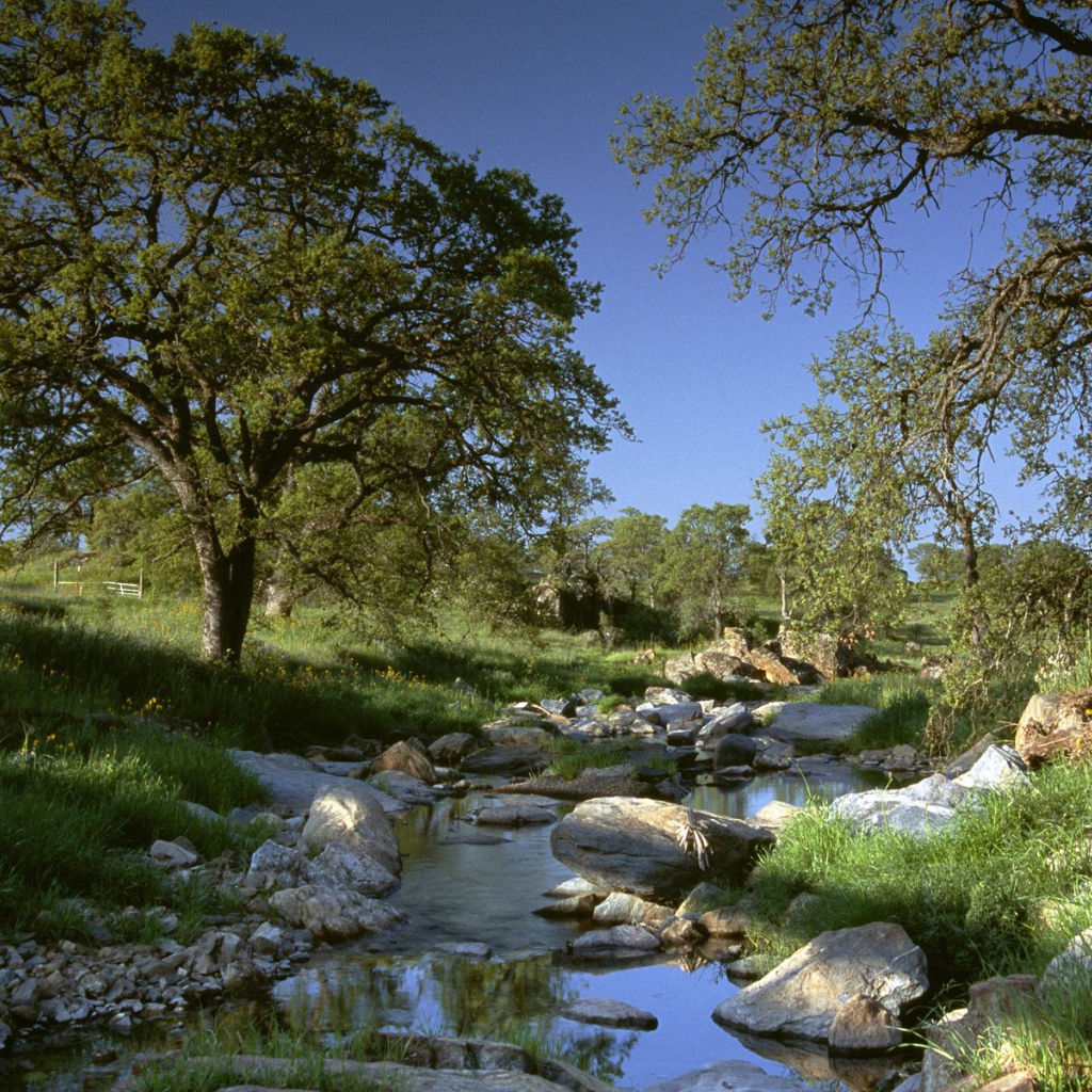 Золотая Страна / Калифорния / США
