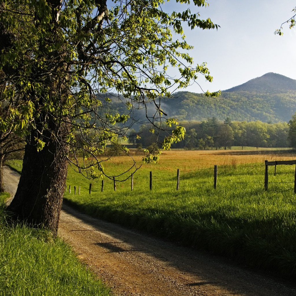 Переулок Hyatt, США
