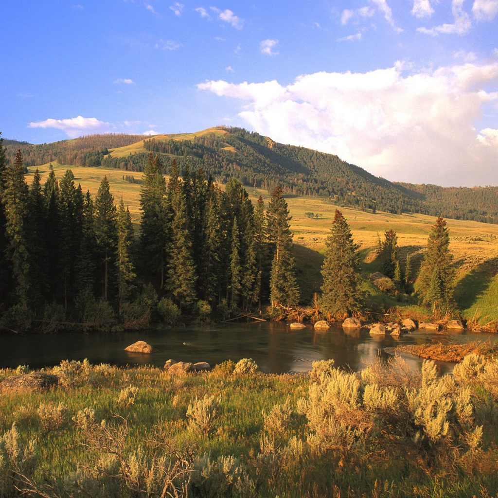 Долина Реки Lamar, США