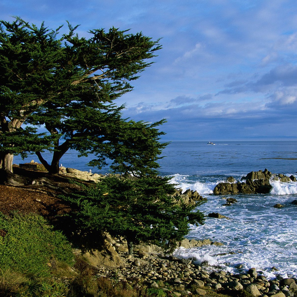 Тихоокеанская Береговая линия / Калифорния / США