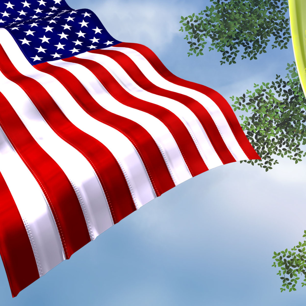 Народы, которые, Махая Флагом - не идут в Ирак, США